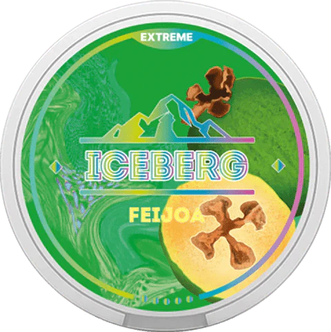 Iceberg Snus 16gr 150mg Pouches - Pack of 10 - Feijoa - vapeukwholesale