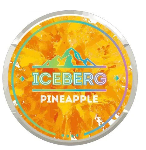 Iceberg Snus 16gr 150mg Pouches - Pack of 10 - Pineapple - vapeukwholesale